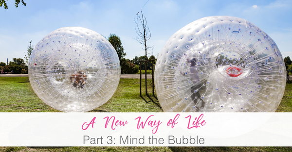 A New Way of Life. Part 3: Mind the Bubble